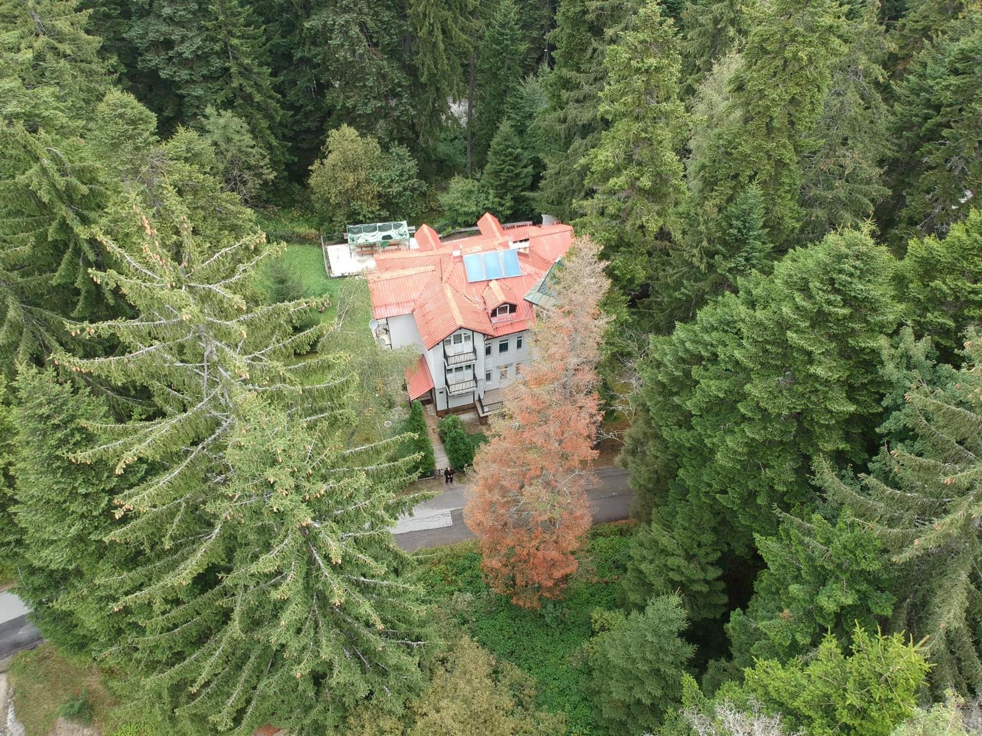 The Forest Villa Borovets Exterior foto