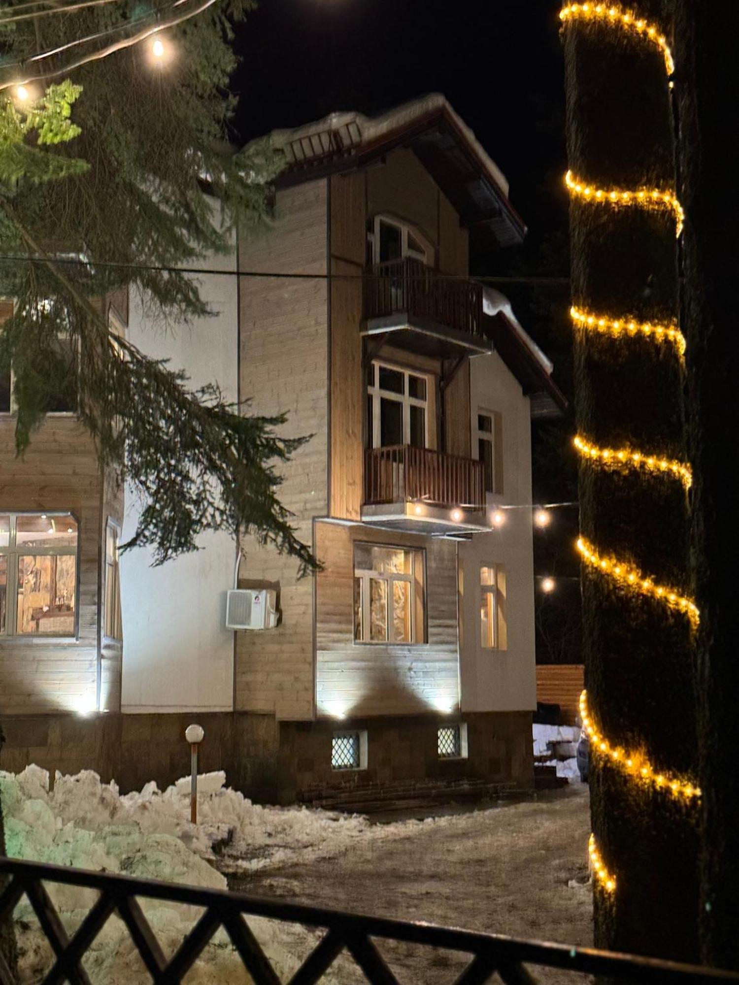 The Forest Villa Borovets Exterior foto